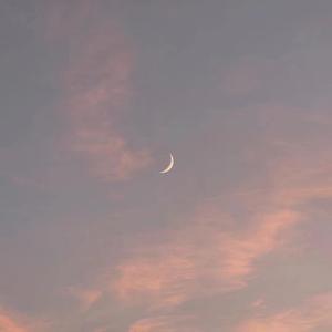 陈冠希雁门照片免费版高清
