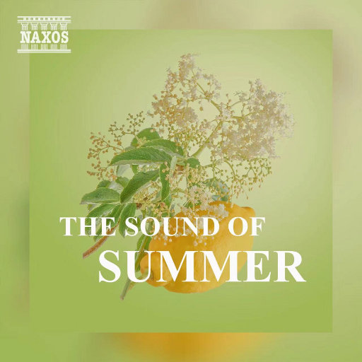 陈冠希雁门照片免费版高清
